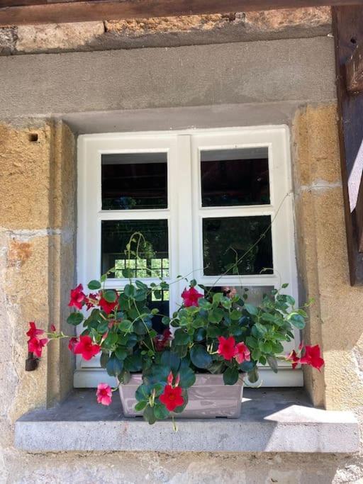 Vakantiehuis La Poire, Op Landgoed Aan De Dordogne Prudhomat Buitenkant foto